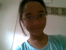 wkt home alone hoho