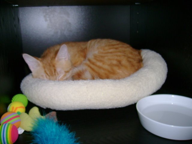 [DSC01097.JPG]