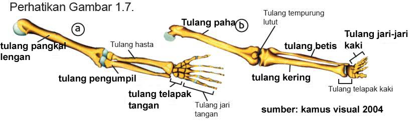 Diposkan Oleh Blog Husnayya Tidak Ada Komentar Diposkan Oleh Blog Husnayya Tidak Ada Komentar