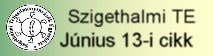 2006.06.13.beszámoló