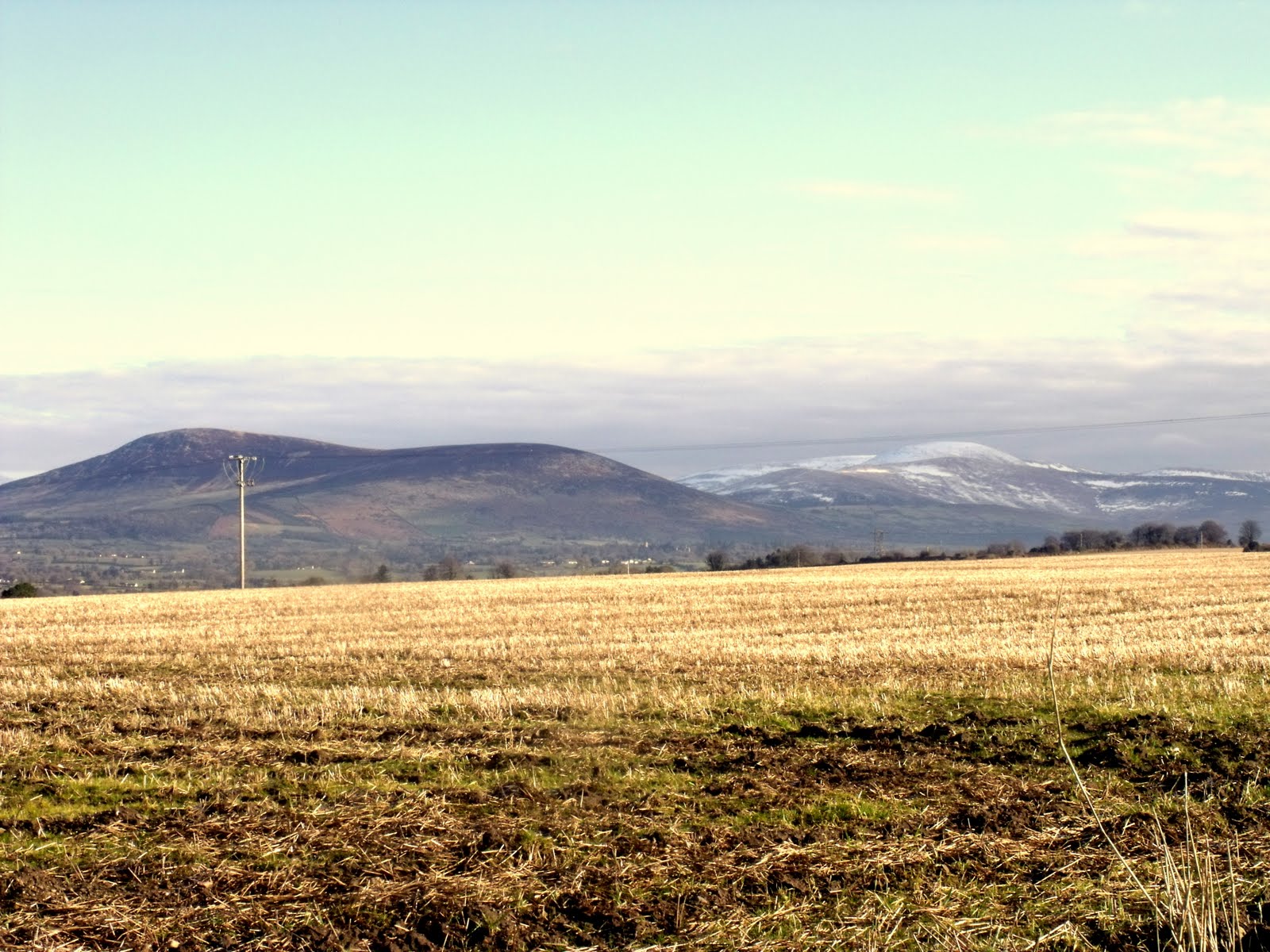 [DSCF0123-1.JPG]