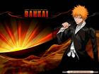 Bleach Anime:Ichigo Kurosaki