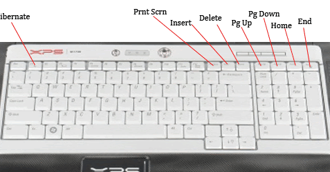 Reddnet Scribbles: Dell XPS M1730 - Review (part 3): Keyboard and Touchpad