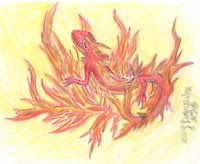 image salamanders