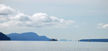 Stuart Channel