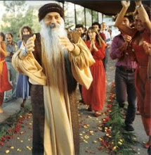 Osho Maestro