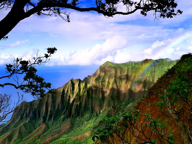 Life and Living on Kauai, Life And Living. Life and Living on Kauai,