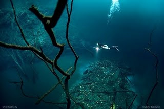 Sungai di Bawah Laut 1