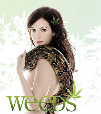 Another week, another Weeds installment. This time, in season 5 episode 4