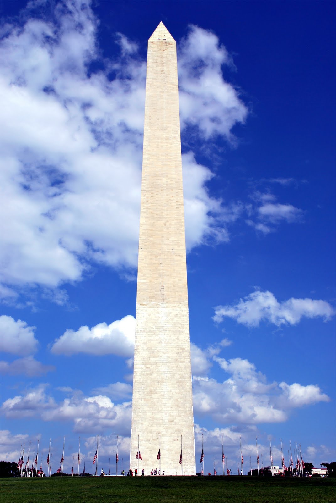 [DSC_0031.JPG]