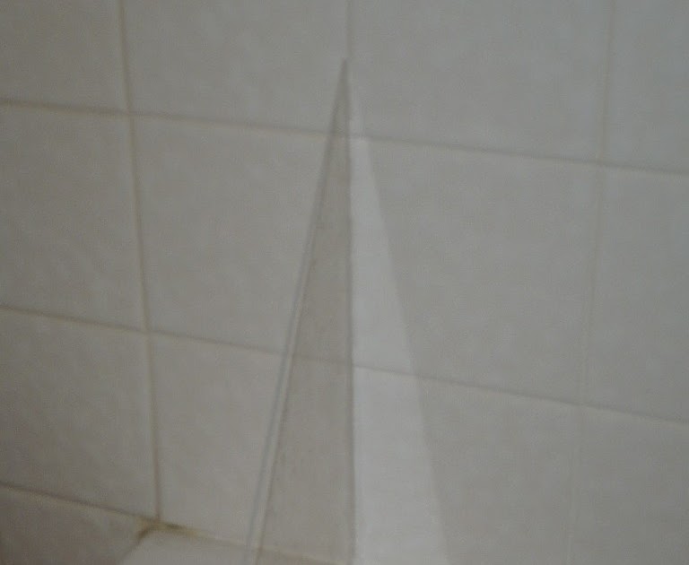 The Green Engineer Best shower curtain and splash guard