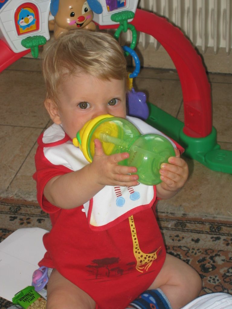 Nuby No Spill Cup With Flex Straw Replacement