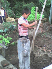 trabajando_ en_ la_ huerta