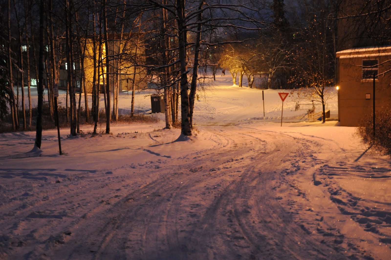 [DSC_2099.JPG]