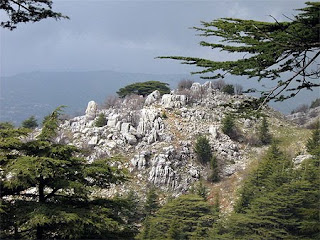 Liban.jpg