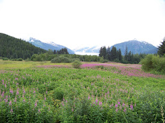 Valley under Mendenhall Glacier