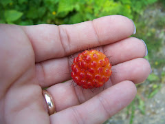 Salmon Berry