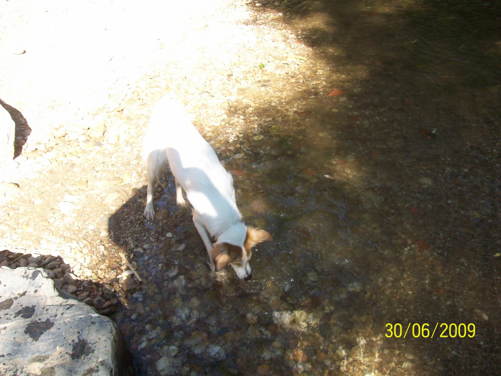 [103_0036.JPG]
