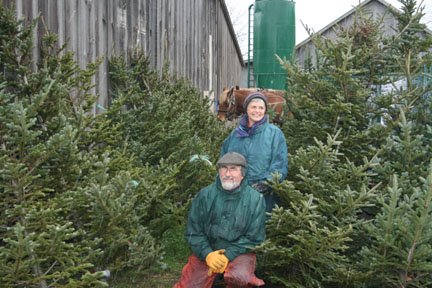 [xmas+trees.jpg]