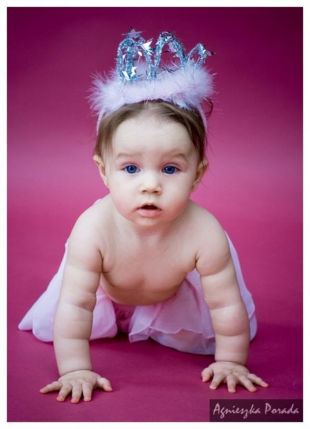 [20080414-DSC_0125.jpg]