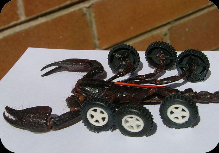 [strange-wepons-08.jpg]