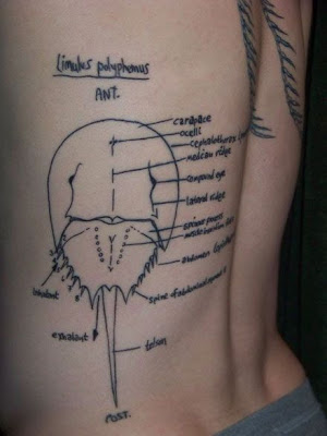 57 Amazing Scientific tattoos