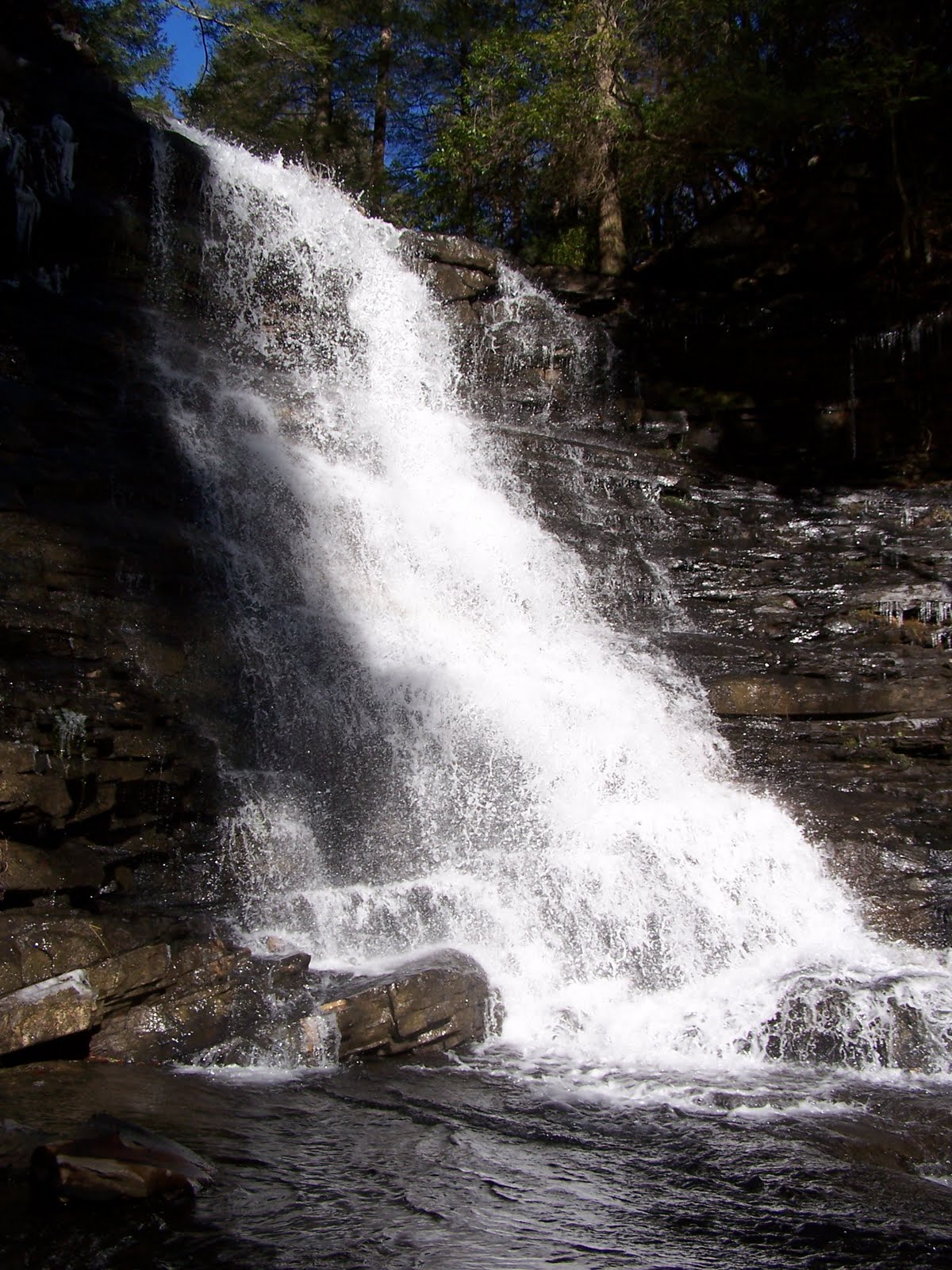 TRAINING WHEELS NOT INCLUDED Greeter & Boardtree Falls Tennessee