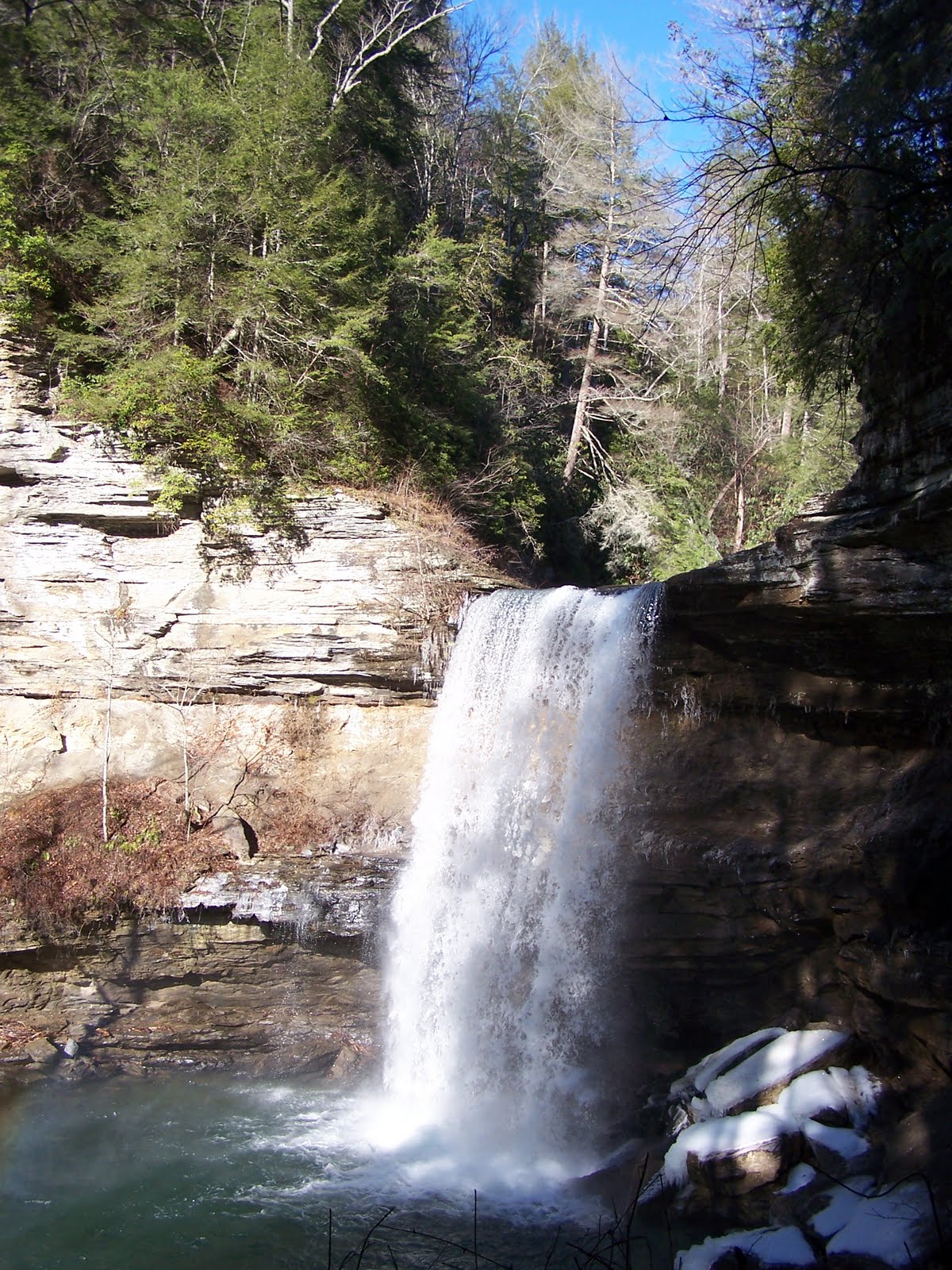 TRAINING WHEELS NOT INCLUDED Greeter & Boardtree Falls Tennessee