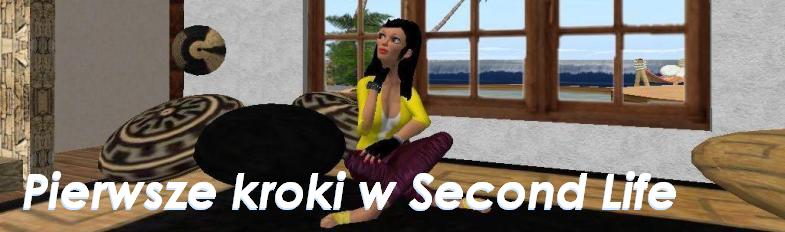 Pierwsze kroki w Second Life