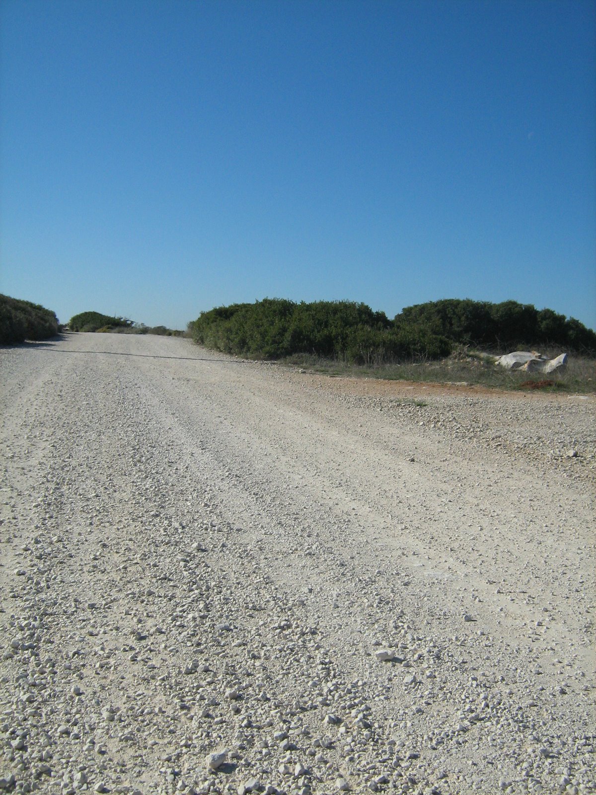 [IMG_7895.JPG]