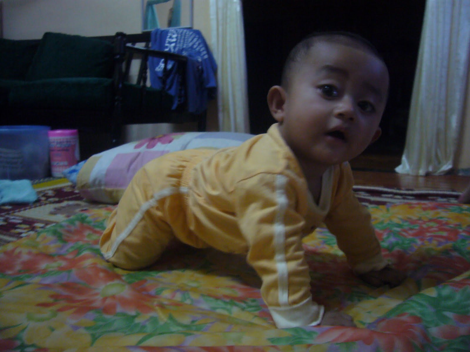 [P1090320.JPG]
