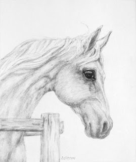 Daily Painting Projects: Horse Drawing Daily Painting Pencil Animal Art Portrait