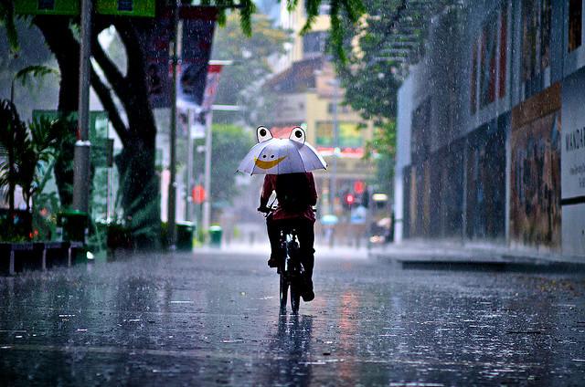 Hermosas Fotos Bajo La Lluvia Hermosas Fotos Bajo La Lluvia