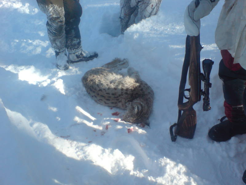 [image-upload-13-732025.jpg]