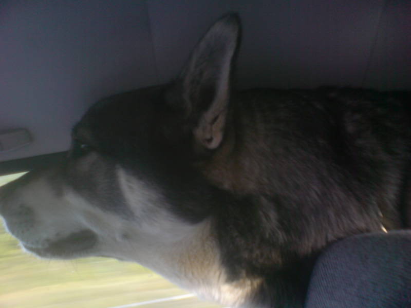 [image-upload-80-730408.jpg]