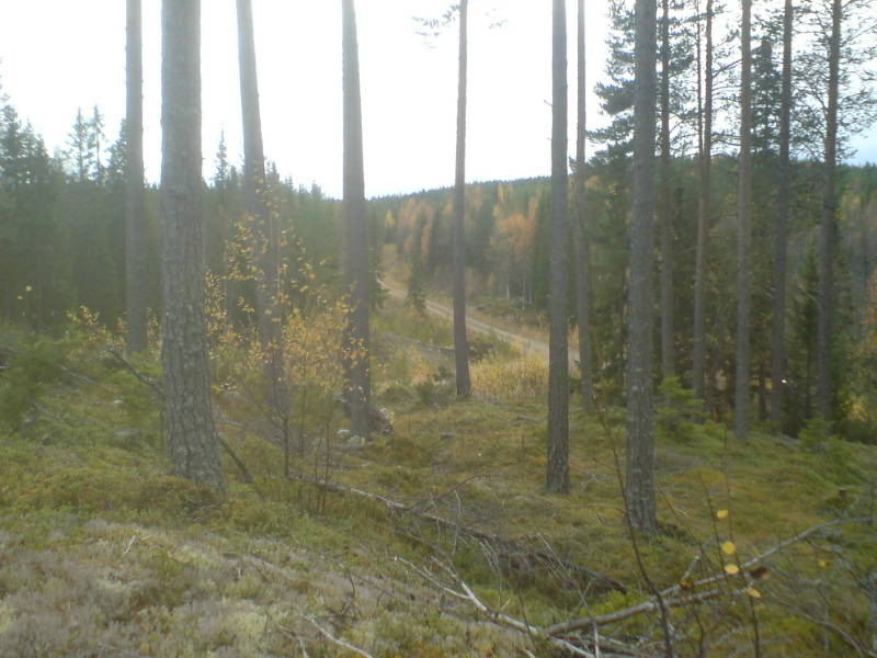 [image-upload-71-765460.jpg]