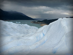 Calafate