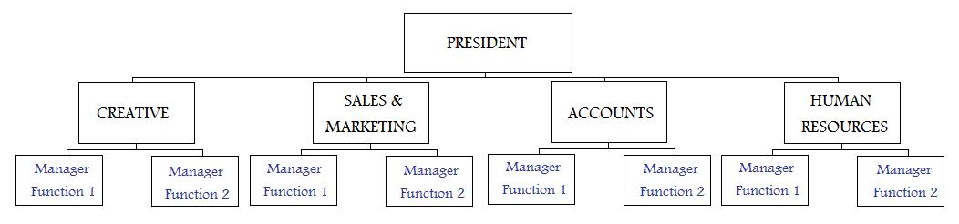 functional organizational structure chart