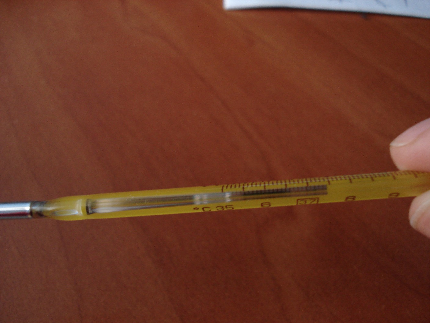 [termometer.JPG]