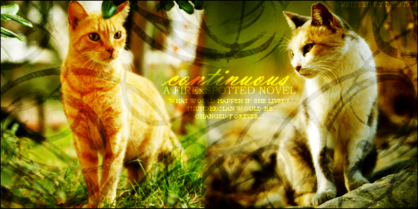 Spottedleaf, the greatest medicine cat of all time, and Firestar, Spottedleaf, the greatest medicine cat of all time, and Firestar,