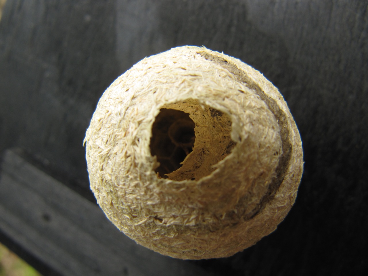 East Norfolk Ringing Group Nest Boxes