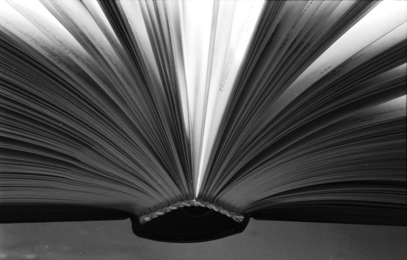 [open-book.jpg]