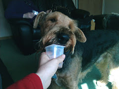 Yummy Yogurt pot