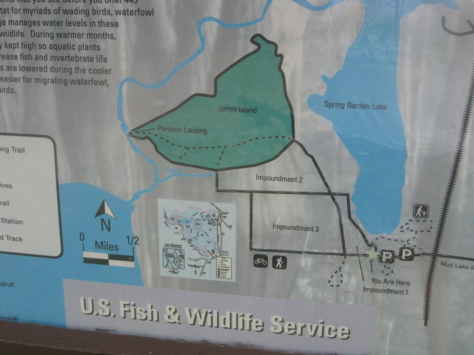 Dave's Yak Tales DeLeon Springs, Lake Woodruff National Wildlife Refuge