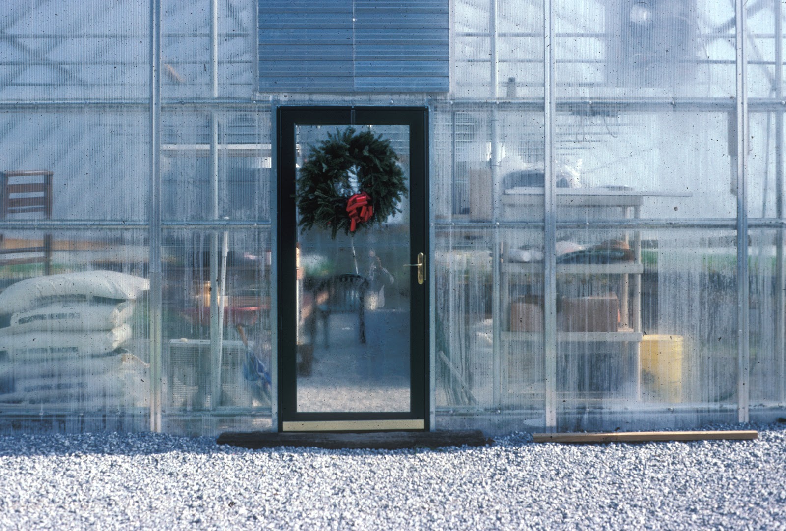 Lee's Daylily Potpourri Winter greenhouse