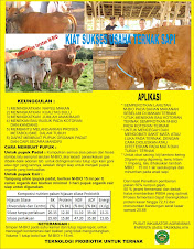 TERNAK SAPI