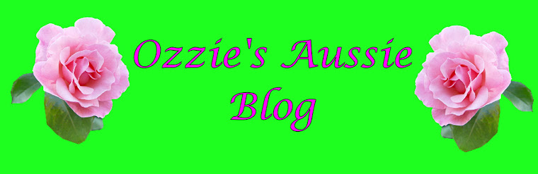 Ozzie's Aussie Blog