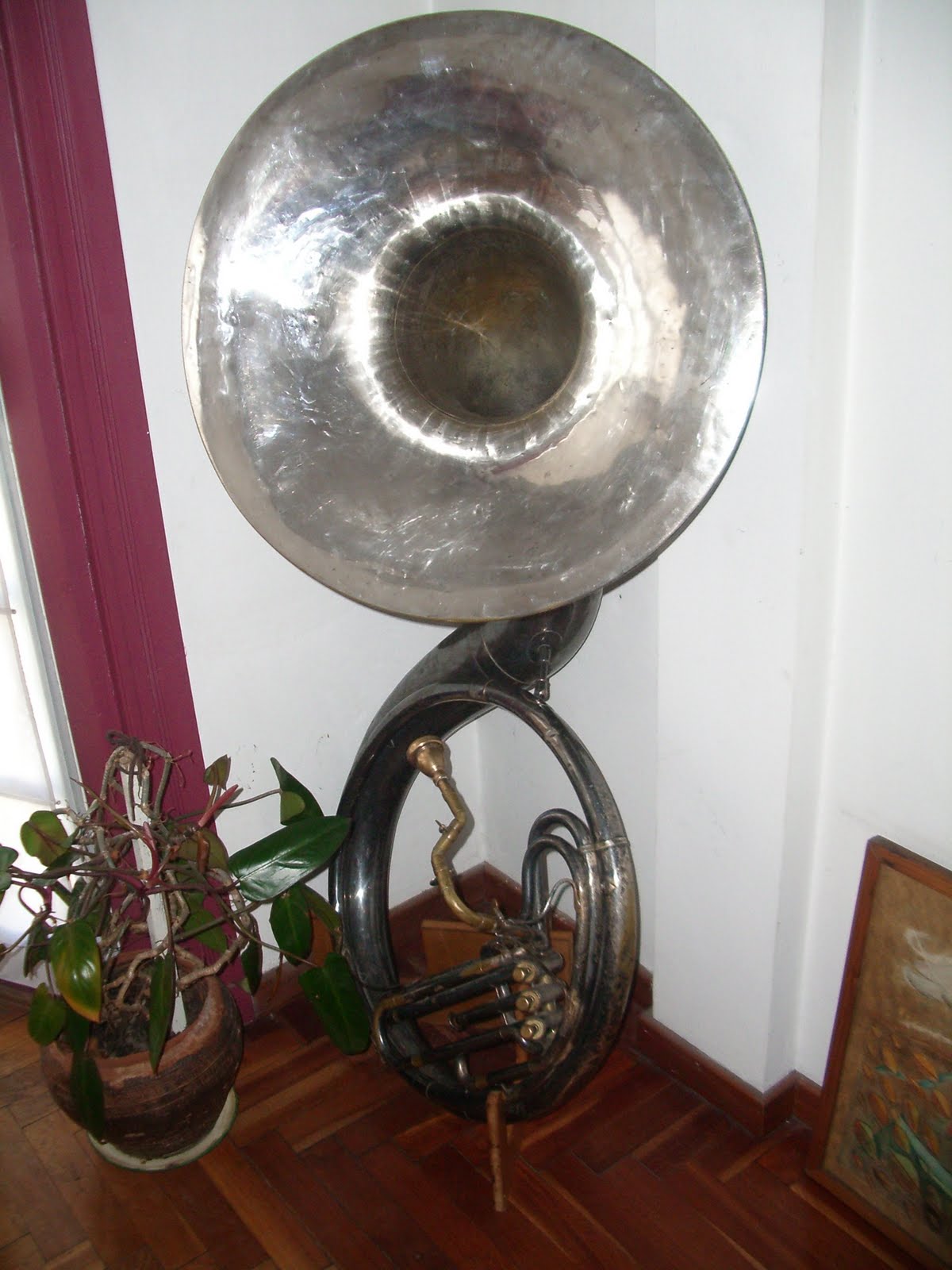 Viva Buddy Bolden Y llegó la tuba