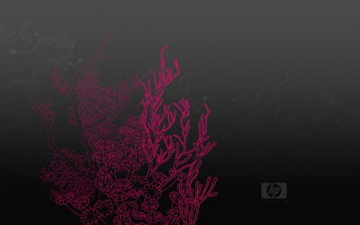 cool hp wallpaper platinum cool hp wallpaper platinum