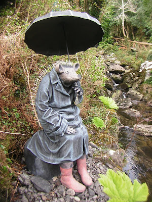 Mitten Im Wald Ein Badendes Schwein Irland News